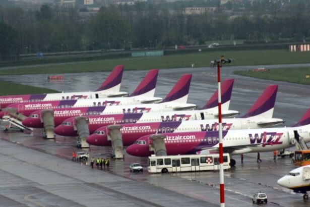 anunt de la wizz air compania din ungaria transfera in europa de est aproximativ jumatate din angajatii hub ului din abu dhabi 68e8f67e7f681