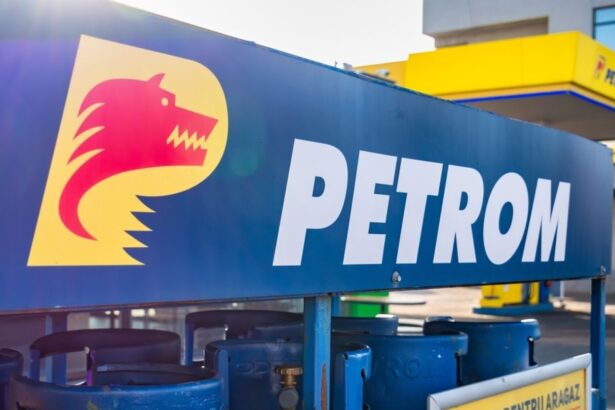 dividende speciale la petrom cine investea in actiunile companiei la inceputul anului are acum un castig 40 68fa2b8845f64