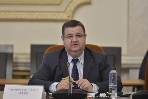 laurentiu urluescu afeer greu putem determina astazi un indice de pret corect la energie recastigarea increderii in piata este esentiala 68f89ec60e04c