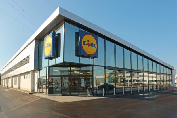 lidl a deschis un nou magazin in romania 68f0c80d1f47f