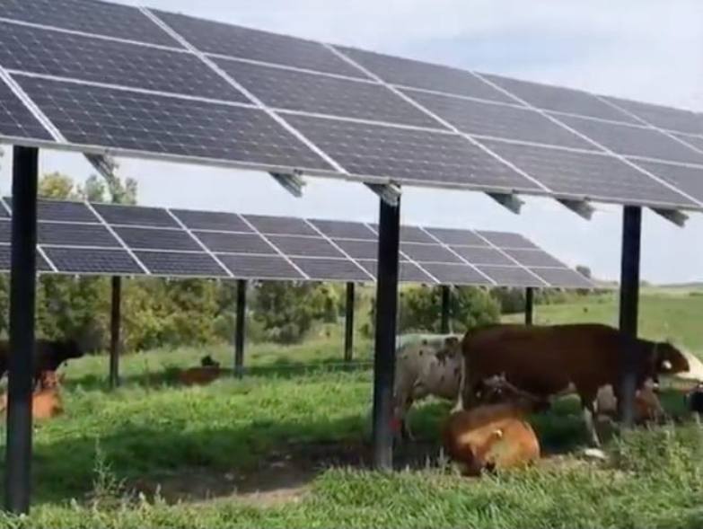 primaria turceni ia un imprumut de 380 de milioane de euro de la bei pentru construirea de proiecte fotovoltaice pe sute de hectare de teren 68eea0ab99004