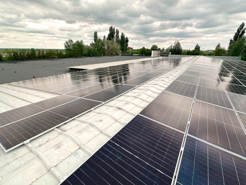 procesatorul de fructe de padure abund berry a instalat o centrala fotovoltaica de 512 kwp cu stocare de 400 kwh constructorul greenvolt next 68ff4dc31b3bd