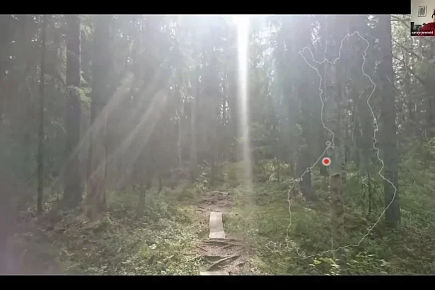 sara yrjonmaki energie natura si implicarea tinerilor 68ea62af66d40