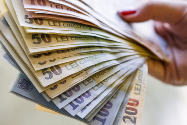 tichetele de masa vor fi majorate dar cresterea salariului minim se amana cand va lua guvernul o decizie 690207c09b4fd