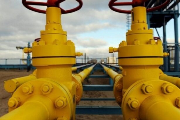 transgaz reduce la jumatate tarifele pe tranzitul gazelor catre ucraina ca sa faca viabila aprovizionarea tarii vecine cu gnl american 68ff77d981f87