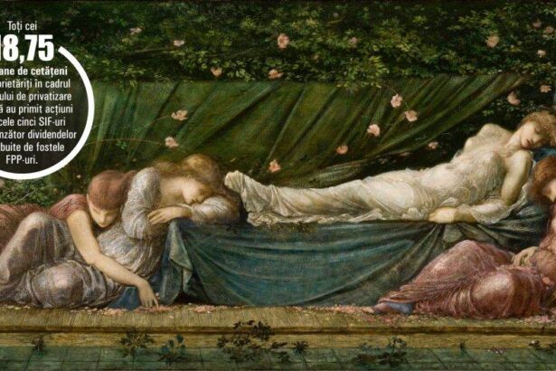 trezirea actiunilor dormante un miliard si jumatate de euro la buget si revigorarea pietei de capital 68fbea21b1571