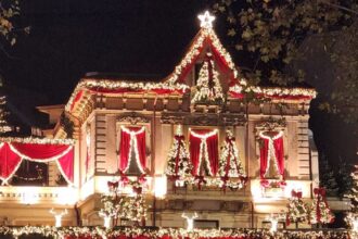 afacerile firmei ce a creat primul decor viral de craciun cine administreaza restaurantul din apropierea pietei victoria 6926b71d66a1a