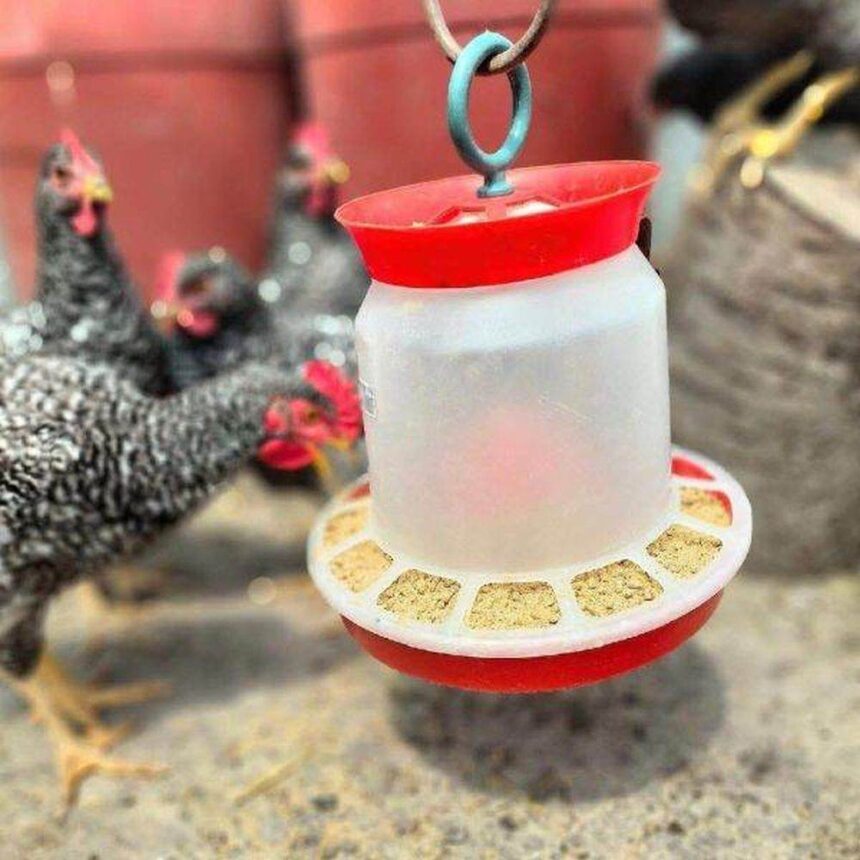 agroland raporteaza o crestere de 65 a profitului net la noua luni 690e153fb3e93