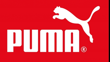 chinezii se gandesc si ei la preluarea puma 692803f008262