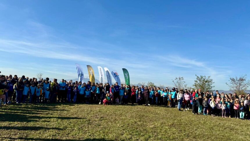 electrica furnizare a plantat o padure urbana in brasov alaturi de voluntari de la asociatia act for tomorrow 6906240b94fd2