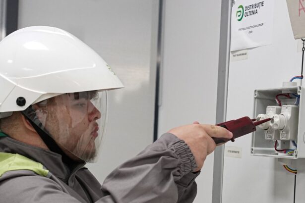 exclusiv electrica a depus oferta pentru achizitia distributie energie oltenia ultimul activ pe care il mai are gigantul macquarie in romania surse 690d08e47850c