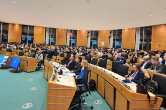 fermele romanesti au pierderi anuale de aproximativ 200 milioane euro din cauza daunatorilor fermierii cer din nou aprobarea ue pentru a folosi tratamente pe baza de neonicotinoide 692581c07563e