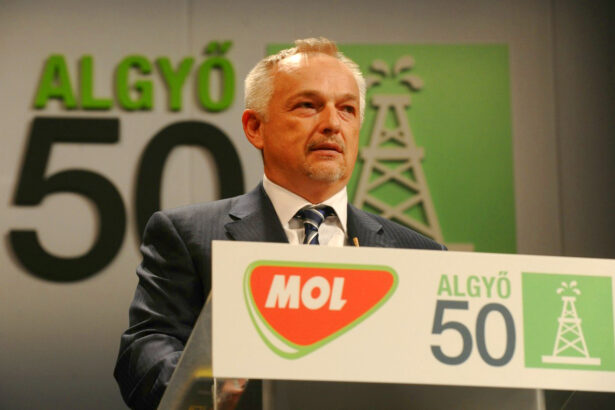 grupul maghiar mol raporteaza rezultate bune pentru trimestrul iii insa anunta si ca din cauza noului context politic e nevoit sa si revizuiasca estimarea privind ebitda pe 2025 690e292ab19b1