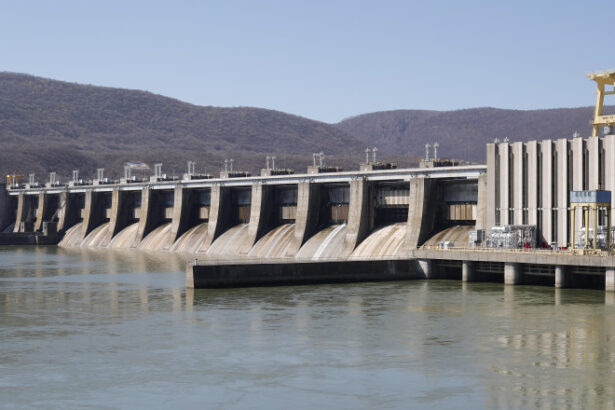 hidroelectrica anunta ca nu a numit un nou director general niciun candidat nu se aliniaza pe deplin cerintelor 69281dba3a2c5