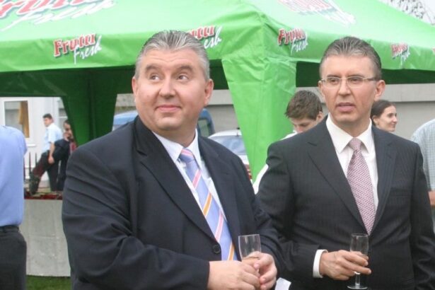 inalta curte a dat castig de cauza anaf si a mentinut masurile asiguratorii instituite asupra firmelor fratilor miliardari ioan si viorel micula 6908f23c6f4f9