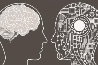 primer launches ai companion for payments teams 691c1a373bd1a