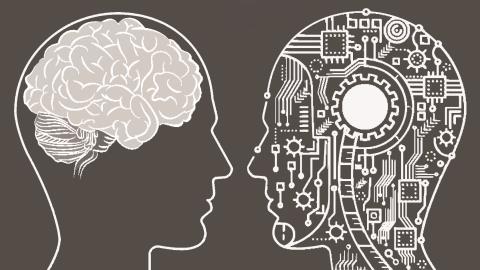 primer launches ai companion for payments teams 691c1a373bd1a