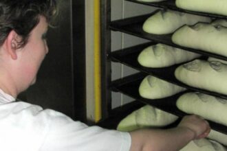 romania este aproape de un blocaj pe piata formarii profesionale avertisment sindalimenta 69245cc2cd6d7