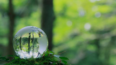 tnfd releases guidance on state of nature data collection 690dddb6c3cef