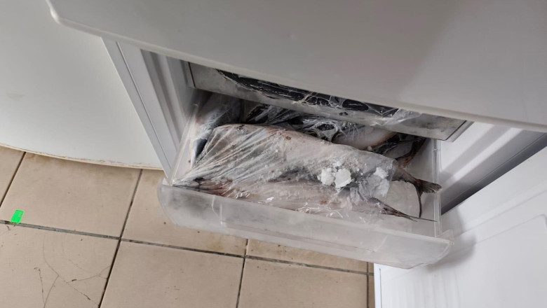 anpc a facut controale in zone turistice si a dat amenzi de 16 milioane de lei ce nereguli au fost descoperite 6949862c72f5b