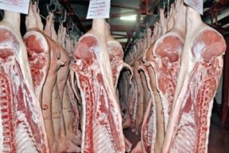 asociatia romana a carnii dupa un 2025 dificil urmeaza un 2026 chiar mai complicat 69467757471ca