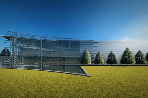 carmistin the food company a luat un credit de 500 de milioane de euro pentru investitii in agricultura si industria alimentara 69492154882c6