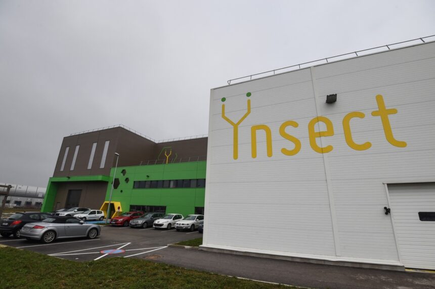 cum a esuat ynsect startup ul francez care a atras 600 milioane de dolari pentru a produce hrana pe baza de insecte 694fa1343cc1b