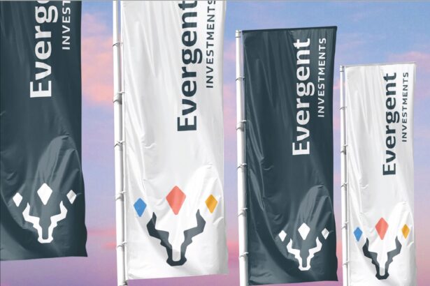 evergent investments fostul sif 2 a inceput plata dividendului cat vor inacasa actionarii firmei listate la bvb 69440e0d2d7f8