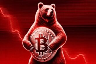 guvernul vrea sa puna ordine pe piata cripto si da o orodonanta prin care furnizorii de servicii de criptoactive sunt obligati sa transmita informatii catre anaf 693312903b780