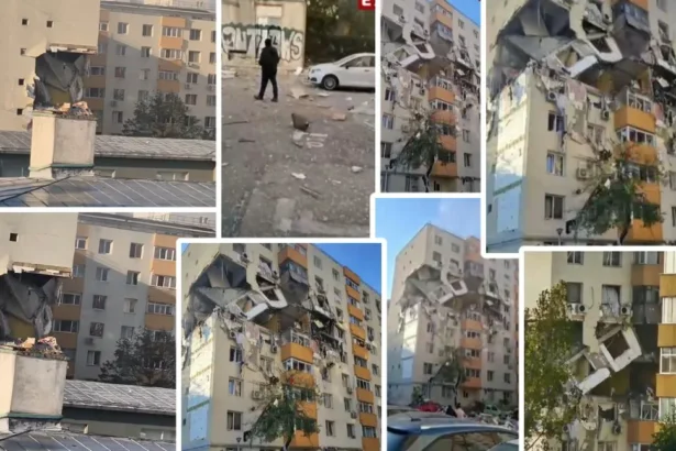 important pentru proprietarii de locuinte din romania omniasig intra la paid firma care emite toate asigurarile obligatorii de locuinta evaluarea companiei scade dupa tranzactie 694182848f150