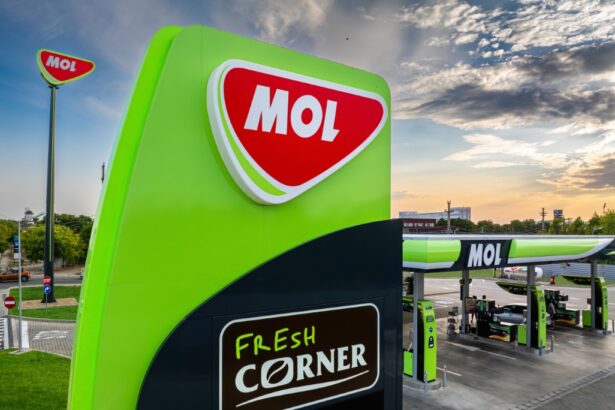 mol vrea sa cumpere rafinariile si benzinariile lukoil din europa 69319c44c6708