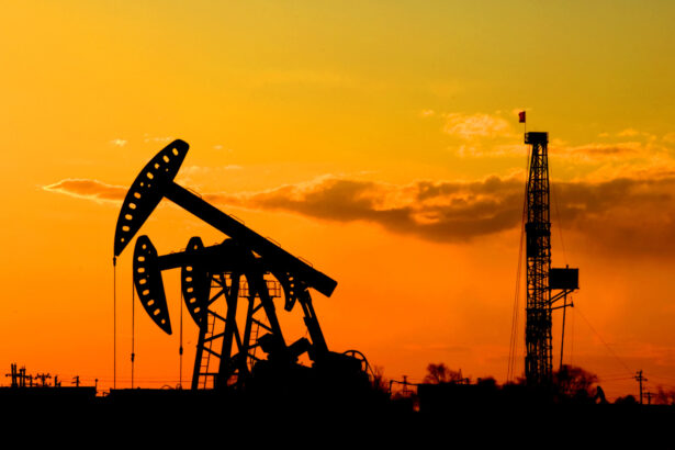 opec a decis sa pastreze neschimbate nivelurile de productie de petrol pentru primul trimestru din 2026 692d32f713887