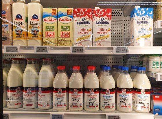 semnal de alarma pe piata laptelui procesatorii au cumparat mai putin lapte de la fermele romanesti printre putinele exceptii sunt simultan si monor procesatori autohtoni 694c13f4e978d