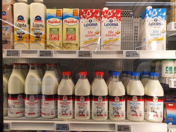 semnal de alarma pe piata laptelui procesatorii au cumparat mai putin lapte de la fermele romanesti printre putinele exceptii sunt simultan si monor procesatori autohtoni 694c13f4e978d
