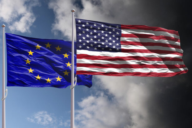 sua ameninta companiile europene de ce s ar putea sa nu aiba efectul dorit 695231b264d24