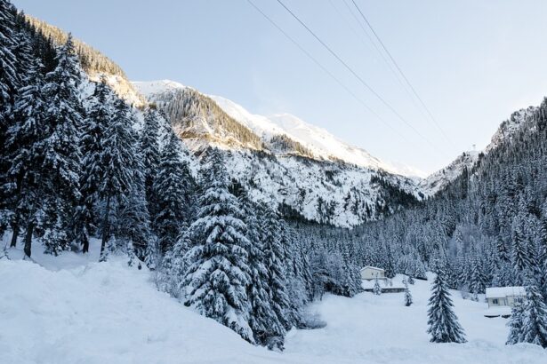 36 de localitati din alba in continuare fara energie electrica in urma ninsorilor 695a1cef83196