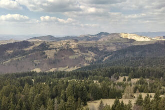 anaf a demarat actiunile de recuperare a creantelor bugetare de peste 46 de milioane de lei de la gabriel resources limited 696cfd14ee636