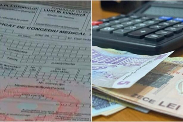 bolojan economie lunara de 100 de milioane de lei la finalul anului trecut in ce priveste concediile medicale 6966bd8384b4c
