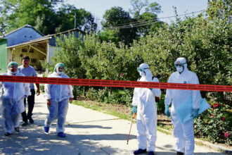 cat de tare a lovit anul trecut pesta porcina africana romania se confrunta cu o dublare a numaruui de focare la porcii domestici 6966aacd90f2d