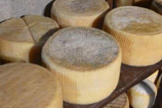 cele mai bune 100 de branzeturi din lume una este din romania cine o produce 696fe1ac60429