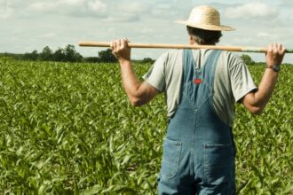 clubul fermierilor romani cere guvernului si comisiei europene suspendarea mecanismului prin care sunt taxate suplimentar importurile de ingrasaminte 696aa1a74f470