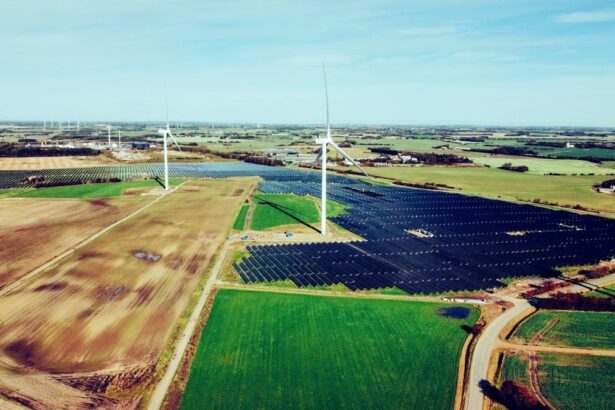 danezii de la eurowind foarte activi in romaniam pregatesc primul lor proiect hibrid eolian fotovoltaic de la noi 49 mw in judetul constanta 6968c9fd8e4e8