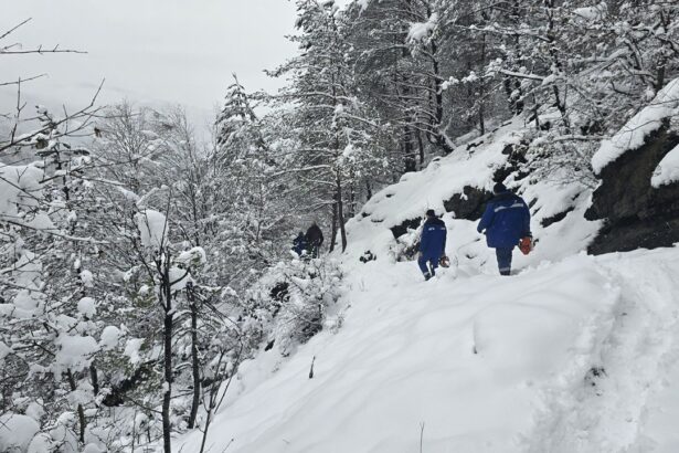 deer a finalizat interventia pentru remedierea avariilor la retelele electrice din muntii apuseni 696133218f547