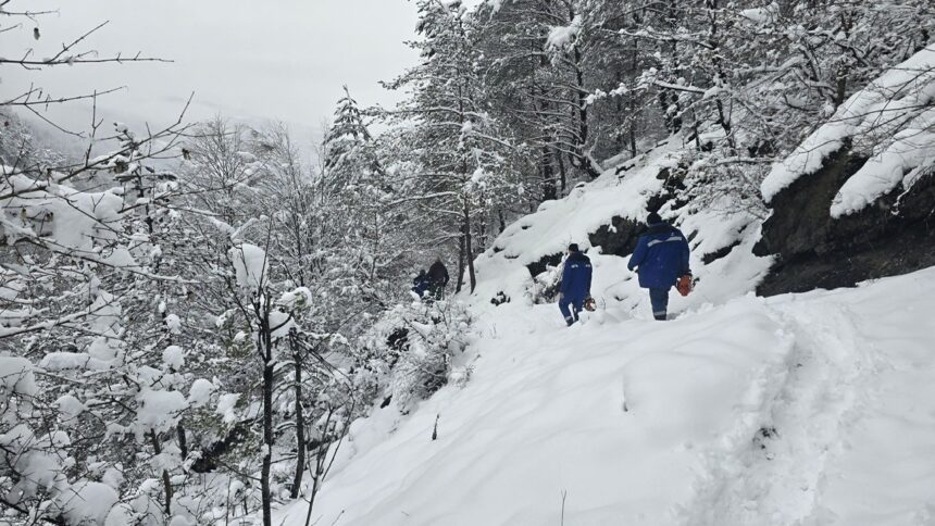 deer a finalizat interventia pentru remedierea avariilor la retelele electrice din muntii apuseni 696133218f547