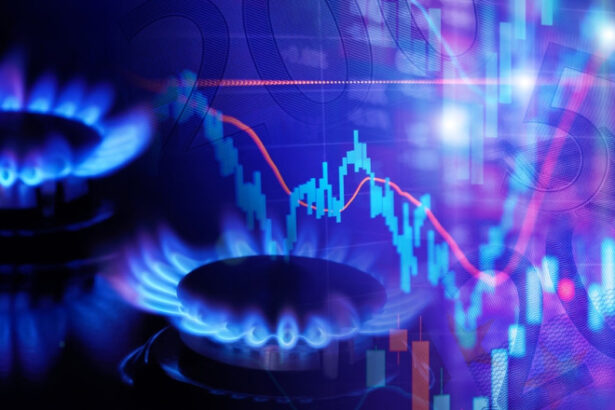 exclusiv noi scumpiri la gaze seful anre avertizeaza asupra ofertelor neserioase niculescu exista deja preturi sub plafon dupa 1 aprilie 697a213f60498