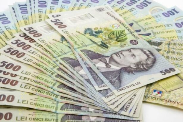 fidelis 2026 ce dobanzi au titlurile de stat din prima editie a programului din acest an 69678d0b500fb