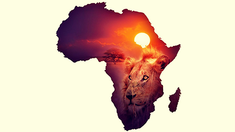 flutterwave acquires african open banking fintech mono 695b8908133ae