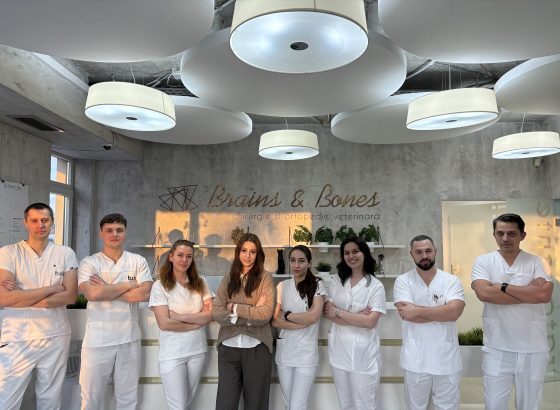 grupul romanesc partnervet cumpara spitalului brains bones din bucuresti specializat in neurochirurgie si ortopedie veterinara 696672017c57f