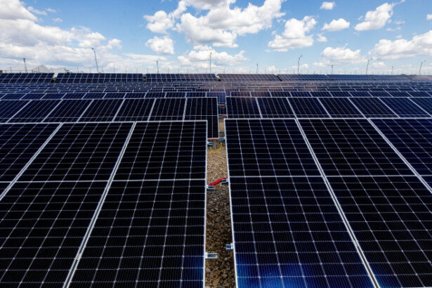 pitestiul isi face centrala electrica fotovoltaica valoarea proiectului este de peste 27 de milioane de lei 697a2f32df062