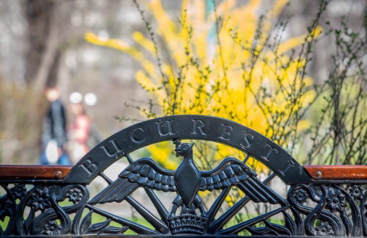 proiectul privind taxe si impozite locale marite supus dezbaterii publice pe site ul pmb 6963a6700cf86